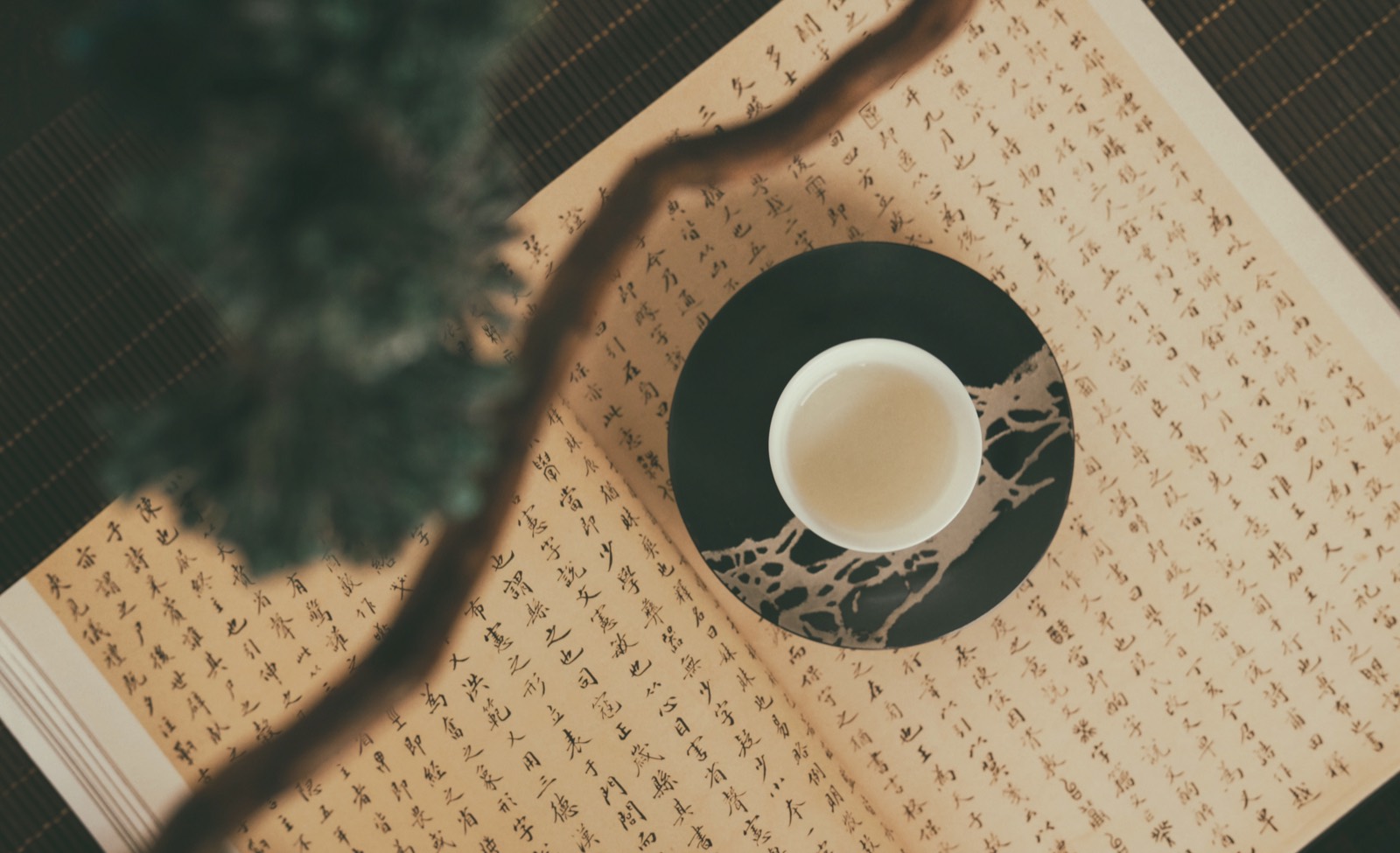 Tee und traditionelle chinesische Schriftzeichen – Symbolbild für Traditionelle Chinesische Medizin