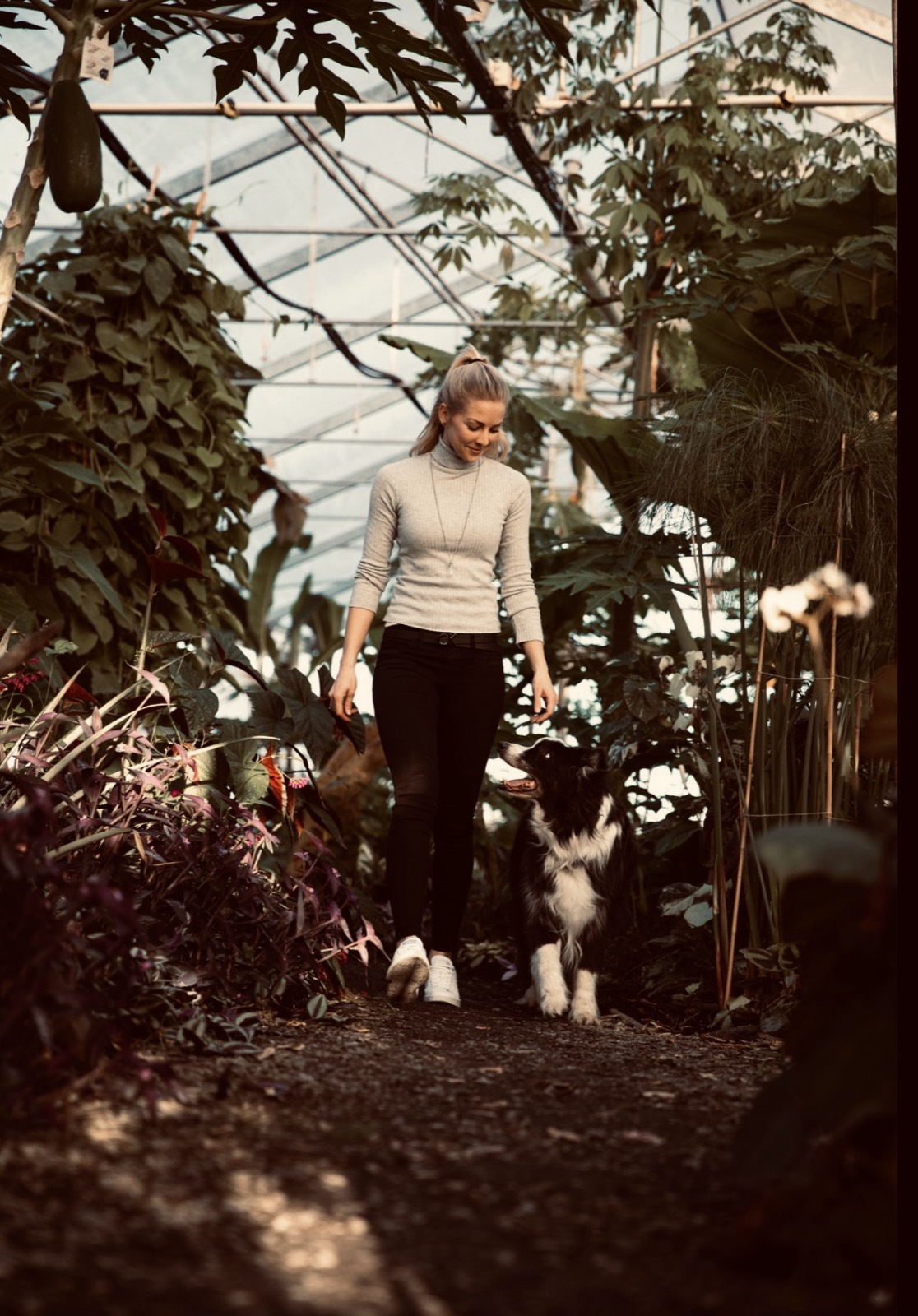 Marina Fichtner mit ihrem Border Collie